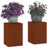Support de Plante 2 pcs Rouillé 24 x 24 x 35 cm Acier patiné 553898553898