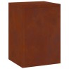 Support de Plante 2 pcs Rouillé 24 x 24 x 35 cm Acier patiné 553898553898