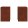 Support de Plante 2 pcs Rouillé 24 x 24 x 35 cm Acier patiné 553898553898