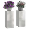Support de Plante 2 pcs Argent 24 x 24 x 55 cm Acier inoxydable 553901553901