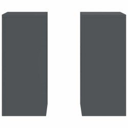 Support de Plante 2 pcs Anthracite 24 x 24 x 55 cm Acier 553903553903