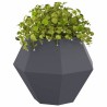 Jardinière 2 pcs Anthracite 75 x 75 x 60 cm Acier 553925553925
