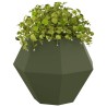 Jardinière 2 pcs Vert olive 75 x 75 x 60 cm Acier 553927553927