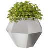 Jardinière Argent 75 x 75 x 60 cm Acier inoxydable 553928553928
