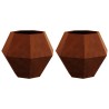 Jardinière 2 pcs Rouillé 75 x 75 x 60 cm 553938553938