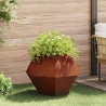 Jardinière 2 pcs Rouillé 75 x 75 x 60 cm 553938553938