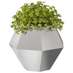 Jardinière 2 pcs Argent 75 x 75 x 60 cm Acier inoxydable 553944553944