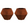 Jardinière 2 pcs Rouillé 50 x 50 x 40 cm 553950553950