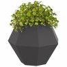 Jardinière 2 pcs Noir 50 x 50 x 40 cm Acier 553952553952