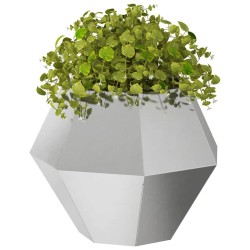 Jardinière 2 pcs Argent 50 x 50 x 40 cm Acier inoxydable 553954553954