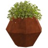 Jardinière Rouillé 50 x 50 x 40 cm 553958553958