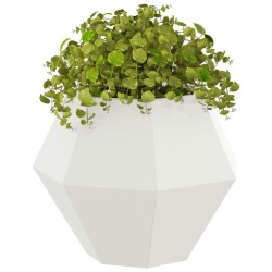 Jardinière 2 pcs Blanc 50 x 50 x 40 cm Acier 553960553960