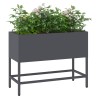Bac de jardin surélevé Anthracite 60 x 26 x 45 cm Acier 554035554035