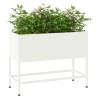 Bac de jardin surélevé Blanc 60 x 26 x 48 cm Acier 554037554037