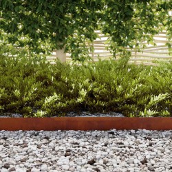 Bordure de Pelouse 4 pcs Rouillé 450 x 0,05 x 10 cm 554066554066