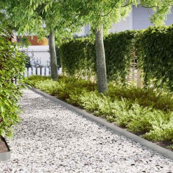 Bordure de Pelouse 50 pcs Argent 100 x 0,05 x 15 cm 554095554095