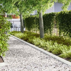 Bordure de Pelouse 30 pcs Blanc 100 x 0,05 x 15 cm 554107554107