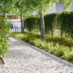 Bordure de Pelouse 30 pcs Argent 100 x 0,05 x 15 cm 554142554142