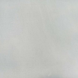 Bordure de Pelouse 20 pcs Argent 100 x 0.05 x 20 cm 554241554241