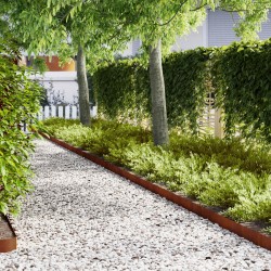 Bordure de Pelouse 10 pcs Marron 100 x 0.05 x 20 cm 554247554247