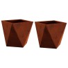 Jardinière 2 pcs Rouillé 30 x 30 x 30 cm 554329554329