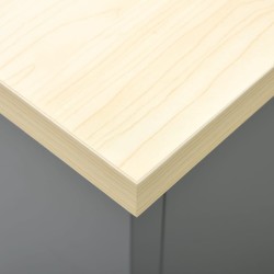 Établi Noir 160x60x85 cm Acier 554495554495