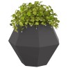 Jardinière 2 pcs Noir 75 x 75 x 60 cm Acier 554529554529