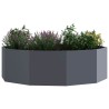 Jardinière Anthracite 120 x 120 x 35 cm Acier 554531554531