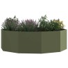 Jardinière Vert olive 120 x 120 x 35 cm Acier 554536554536