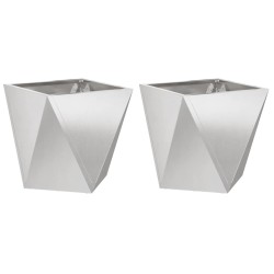 Jardinière 2 pcs Argent 50 x 50 x 50 cm Acier inoxydable 554611554611