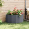 Jardinière Anthracite 120 x 60 x 50 cm Acier 554626554626