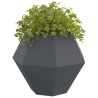 Jardinière Anthracite 100 x 100 x 80 cm Acier 554655554655