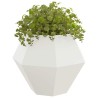 Jardinière 2 pcs Blanc 100 x 100 x 80 cm Acier 554663554663