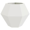 Jardinière 2 pcs Blanc 100 x 100 x 80 cm Acier 554663554663