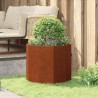 Jardinière Rouillé 60 x 60 x 50 cm 554668554668