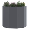 Jardinière Anthracite 60 x 60 x 50 cm Acier 554692554692