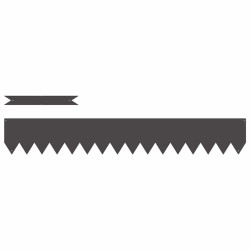 Bordure de Pelouse 30 pcs Noir 100 x 0,05 x 15 cm 554725554725