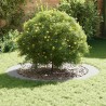 adapté pour anneaux d'arbre plats 5 pcs Blanc Ø90 / 120 cm Acier 554740554740
