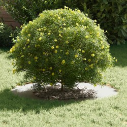 adapté pour anneau d'arbre plat Blanc Ø40 / 70 cm Acier 554755554755