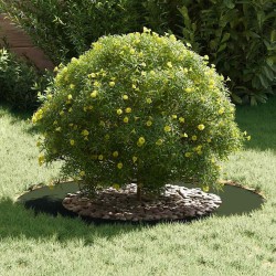 adapté pour anneaux d'arbre plats 5 pcs Vert olive Ø50 / 80 cm 554764554764