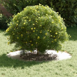 adapté pour anneaux d'arbre plats 5 pcs Blanc Ø40 / 70 cm Acier 554767554767