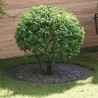 adapté pour anneau d'arbre plat Noir Ø90 / 120 cm Acier 554771554771