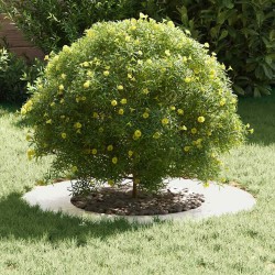 adapté pour anneaux d'arbre plats 5 pcs Argent Ø40 / 70 cm 554777554777