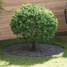 adapté pour anneaux d'arbre plats 5 pcs Anthracite Ø90 / 120 cm 554797554797