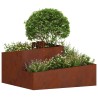 Cache-pot de jardin Marron 80 x 80 x 50 cm Acier patiné 554860554860