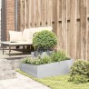 Cache-pot de jardin Argent 80 x 80 x 50 cm Acier inoxydable 554862554862