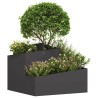 Cache-pot de jardin Noir 60 x 60 x 50 cm Acier laminé à froid 554882554882