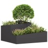 Cache-pot de jardin Noir 80 x 80 x 50 cm Acier laminé à froid 554889554889