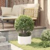 Anneau de jardinière Blanc 30 x 30 x 20 cm Acier laminé à froid 554902554902