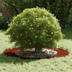 adapté pour anneau d'arbre plat Marron Ø50 / 80 cm Acier patiné 554910554910